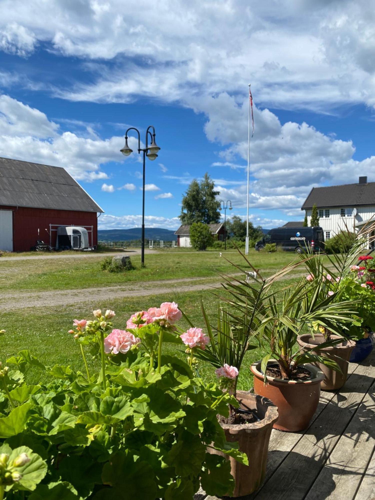 Vila Sundby Fjordhestgard Garder Exteriér fotografie